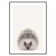 Poster Gallerix Baby Hedgehog