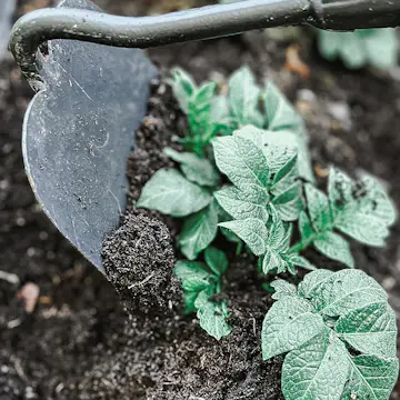 Kultivatorhacka by Benson Deluxe