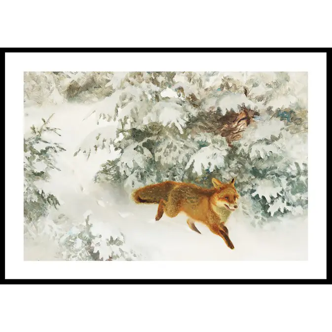 Poster Gallerix Räv i Vinterlandskap By Bruno Liljefors No1