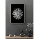 Poster Gallerix Dahlia BW
