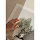 Poster Gallerix Olive Tree Mediterranean No2