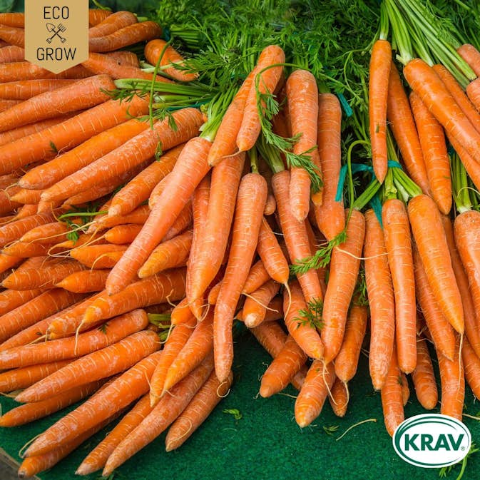 Fröpåse Eco Grow Sommarmorot Nantaise 2