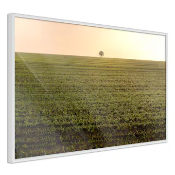 Poster Artgeist Affisch Autumn Morning