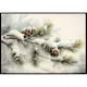 Poster Gallerix Snow Covered Pine Cones