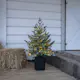 Bordsdekoration Star Trading GranGreyland95 cm 80Lb