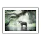 Poster Gallerix Elephant In Sunlight