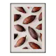 Poster Gallerix Cocoa Fruit