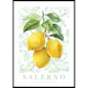 Poster Gallerix Salerno Amalfi Lemons