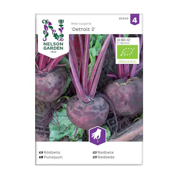 Frö Rödbeta Nelson Garden Detroit 2 Organic