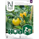 Frö Nelson Garden Tomat Funnyplums Orange F1 Kruktomat