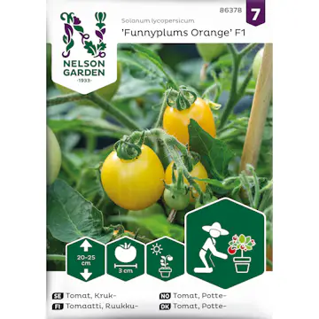 Frö Nelson Garden Tomat Funnyplums Orange F1 Kruktomat