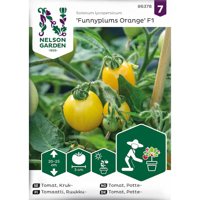 Frö Nelson Garden Tomat Funnyplums Orange F1 Kruktomat