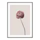 Poster Gallerix Buttercup Flower