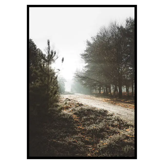 Poster Gallerix New Forest