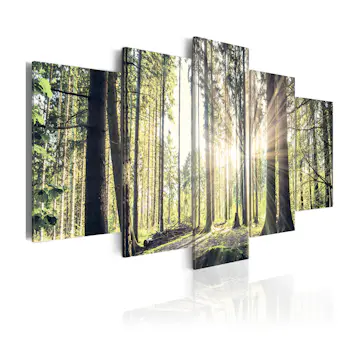 Tavla Arkiio Forest Temple