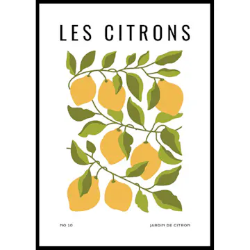 Poster Gallerix Les Citrons
