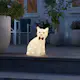 Ljusdekoration Gnosjö Konstsmide Sittande Katt Akryl 34cm LED