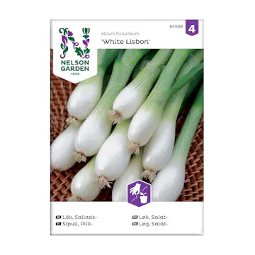 Frö Salladslök Nelson Garden White Lisbon