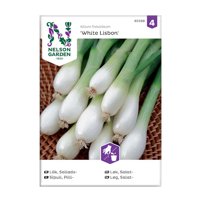 Frö Salladslök Nelson Garden White Lisbon