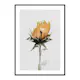 Poster Gallerix Yellow Sunflower