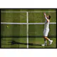 Poster Gallerix Andy Murray Wimbledon 2016
