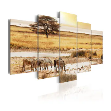 Tavla Arkiio Zebras On A Savannah