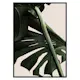 Poster Gallerix Monstera One
