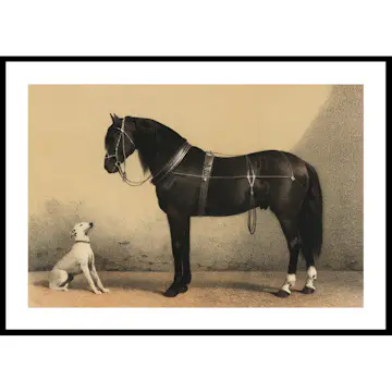 Poster Gallerix Horse And Hound