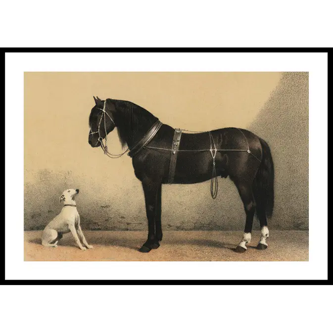 Poster Gallerix Horse And Hound