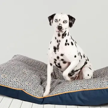 Hundbädd Danish design Geo Bee