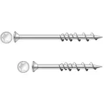 Skruv DeWalt DFM425005P WallDog 100-pack FZB