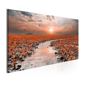 Tavla Arkiio Lily Pathway Narrow