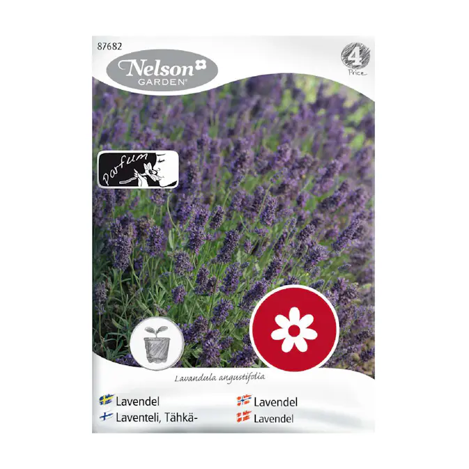 Frö Lavendel Nelson Garden