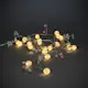 Ljusslinga Gnosjö Konstsmide med Löv och Bär 20L LED