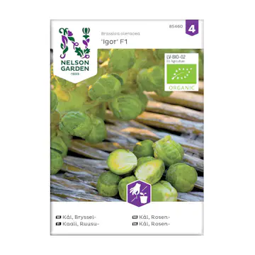 Frö Brysselkål Nelson Garden Igor F1 Organic