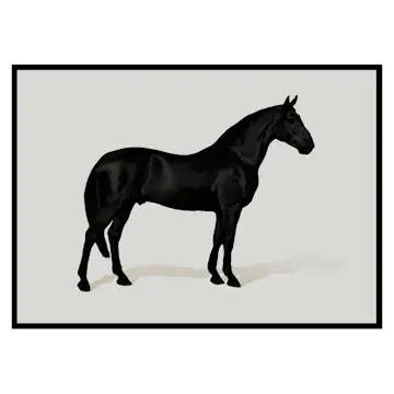 Poster Gallerix Black Horse Land. Drawing