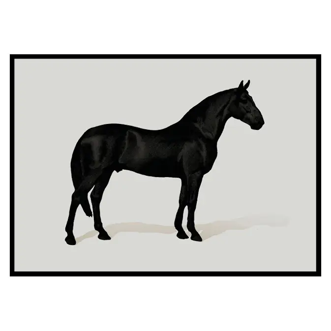 Poster Gallerix Black Horse Land. Drawing