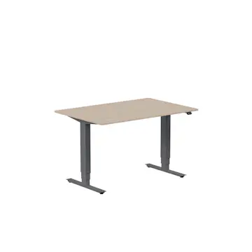 Höj- och Sänkbart Skrivbord Lanab Group Ergofunk Max 120