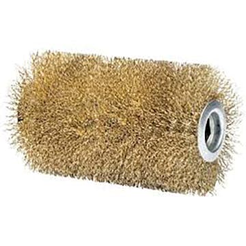 Stenborste Gloria Pro