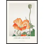 Poster Gallerix Birds And Plants No3 By Ohara Koson