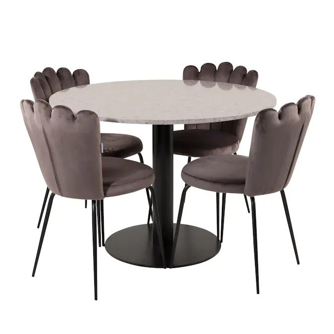 Matgrupp Venture Home Roxanna med 4 Limhamn Light Stolar