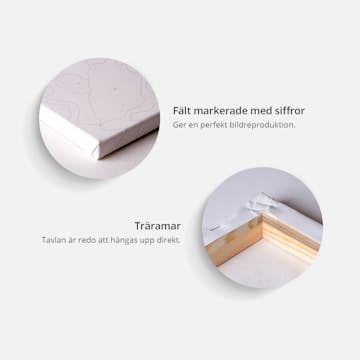 Gör-det-själv Målningar Arkiio Black and White Mona Lisa