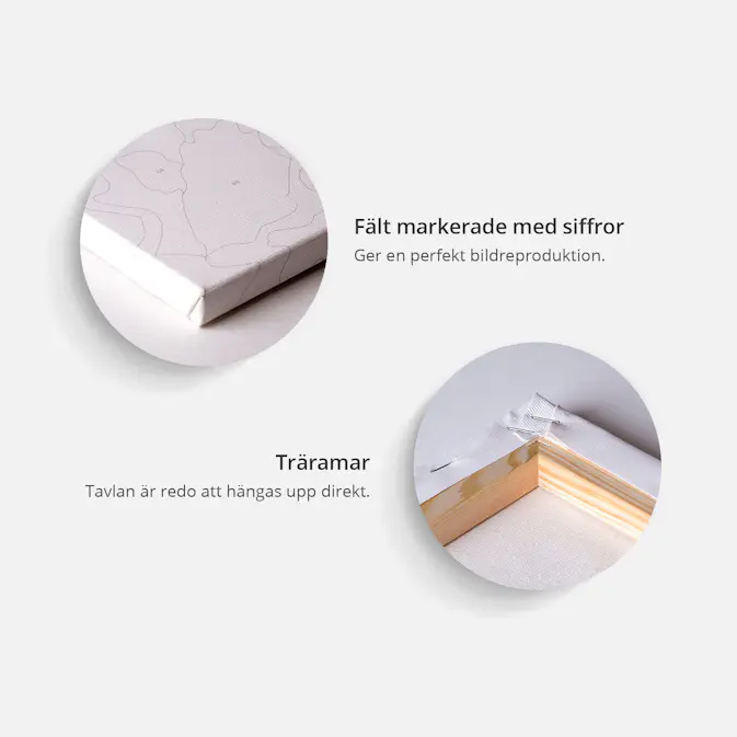 Gör-det-själv Målningar Arkiio Tropical Parrot