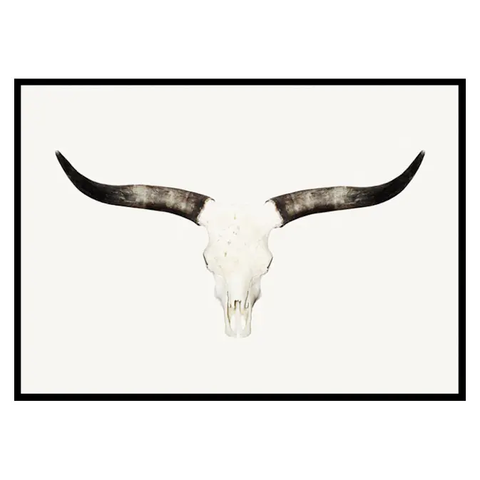 Poster Gallerix Animal Skull