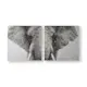 Tavla Art For The Home Majestic Elefant Set