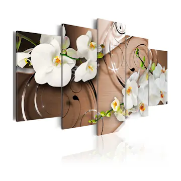 Tavla Arkiio Ivory Orchids