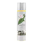 Inredningstvätt Turtle Wax Cockpit Shine Blank Spray 300ml
