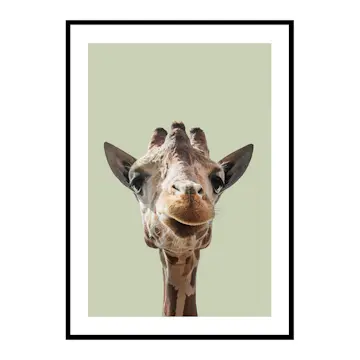 Poster Gallerix Smiling Giraffe