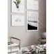 Poster Gallerix Watercolor Botanical No1
