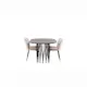 Matgrupp furniture/fashion Stone med 4 Limhamn Light Stolar